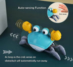 Automatic Crawling crab Action