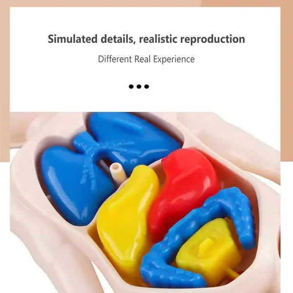 Science Learning Toy