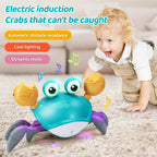 safe crawling toy for toddlers Pakistan
